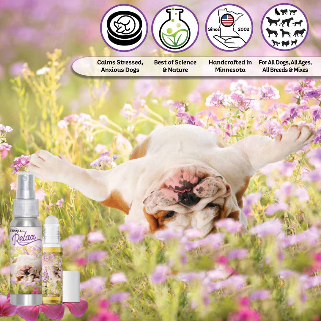 bulldog aromatherapy