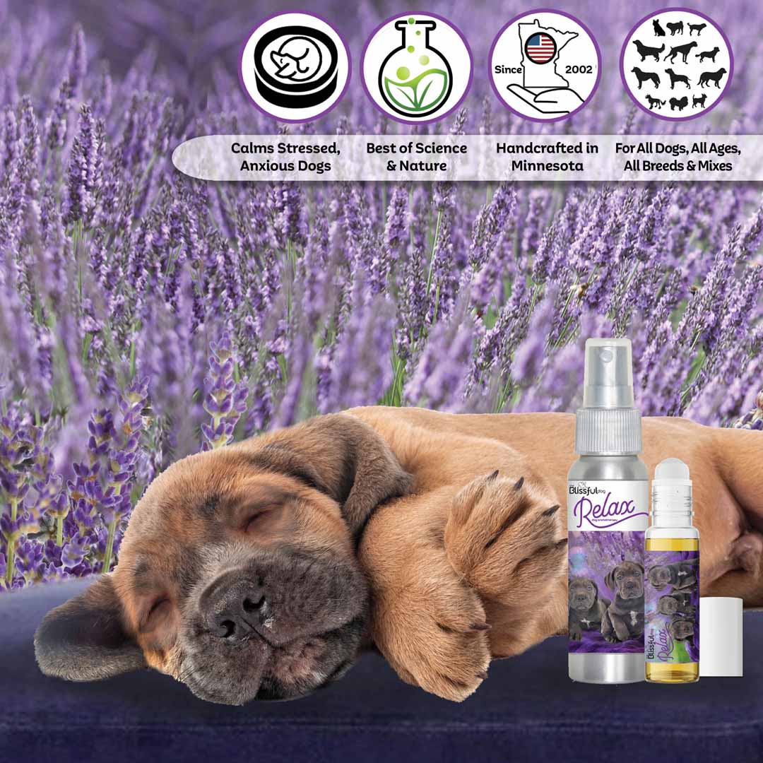 Cane Corso Skin Care & Bathing Products