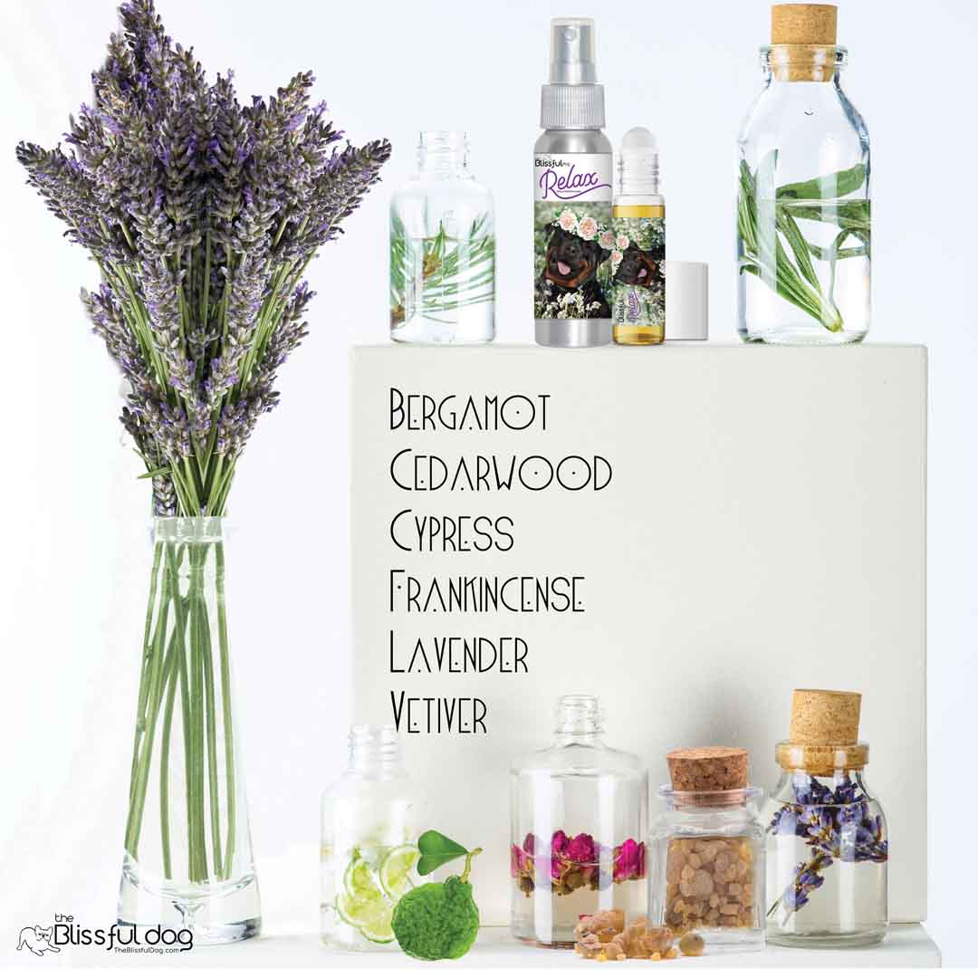 Rottweiler calming formula