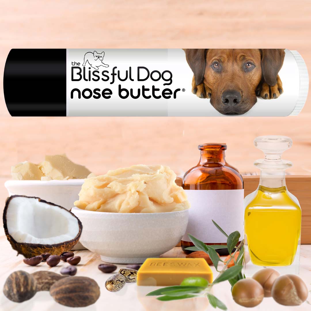 Rhodesian Ridgeback pet care