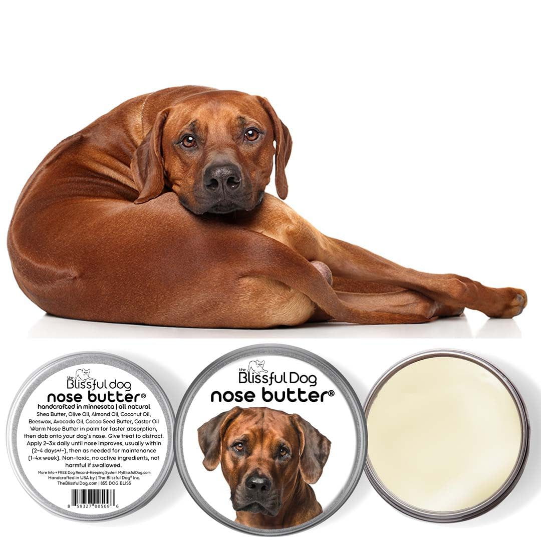 Rhodesian Ridgeback chapped nose