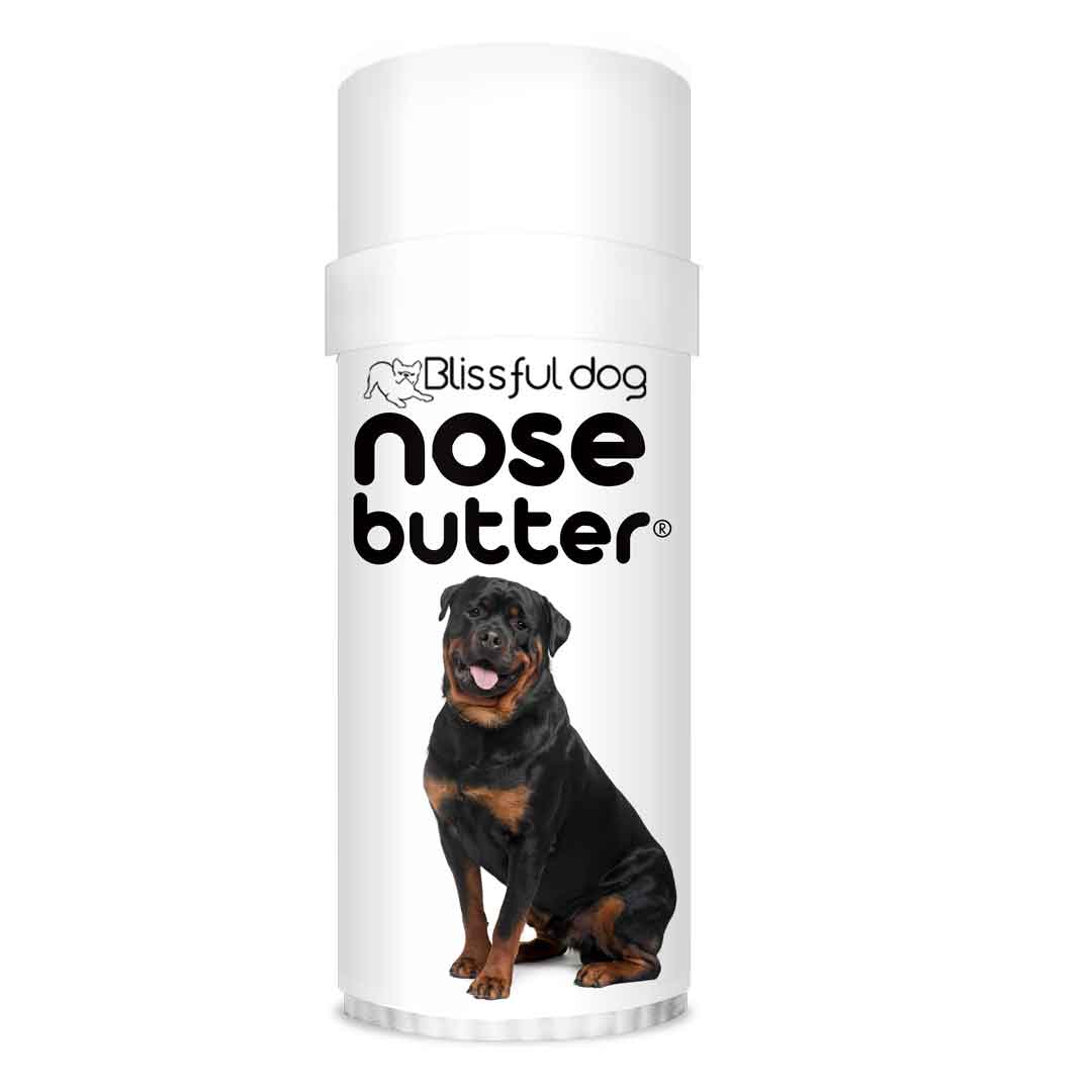Rottweiler Nose Treatment