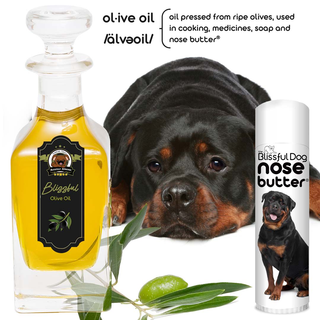 Rottweiler Nose Care