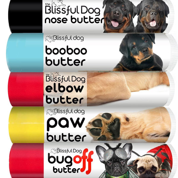 ROTTWEILER B.D SWEAT DOG BLESS YOU ブラックL