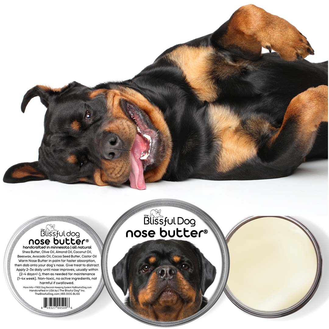 Rottweiler dog shop best sale