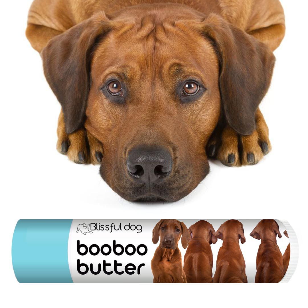 Best dog food for rhodesian ridgeback outlet