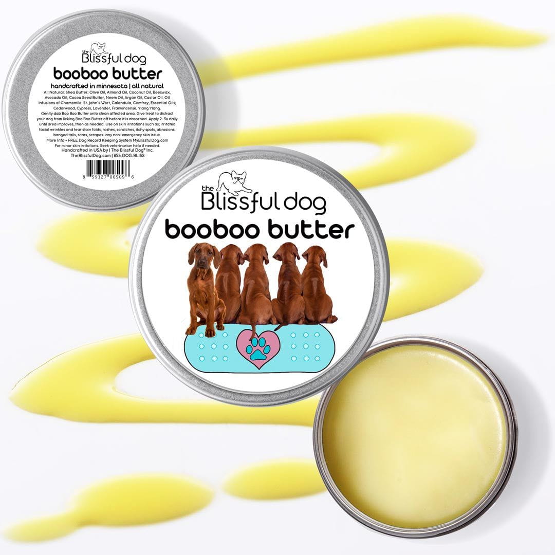 Rhodesian Ridgeback puppy care