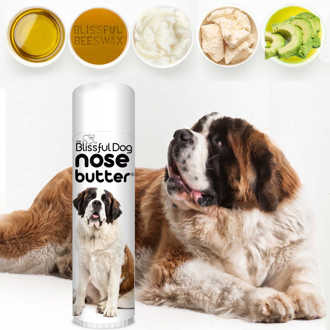 Best dog food outlet for st bernard