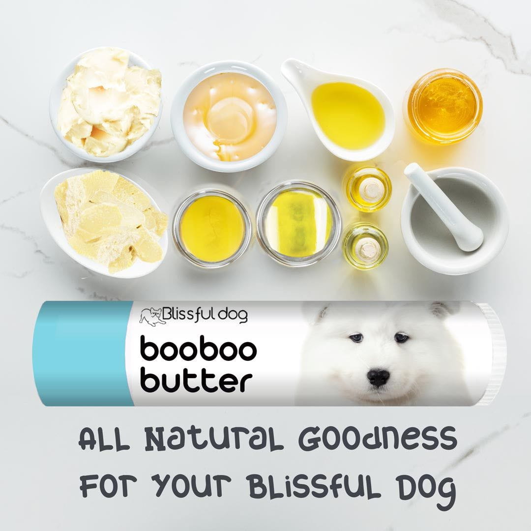 Samoyed nose hot sale