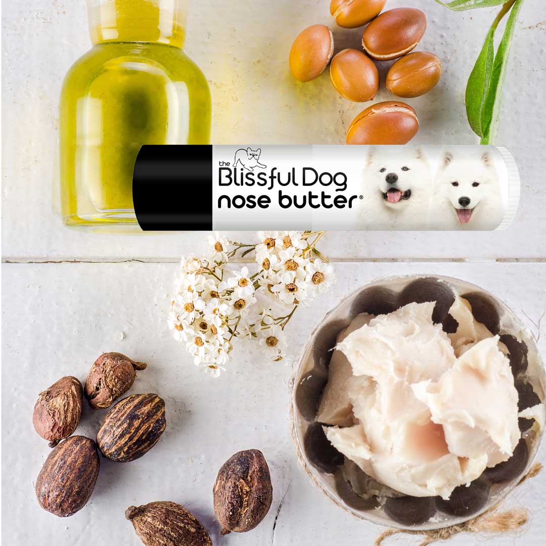 Shea butter for dogs nose on sale
