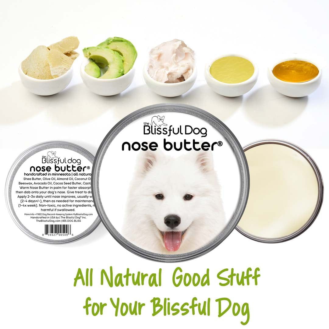 samoyed chapped nose