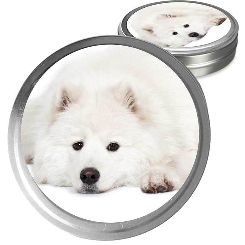 Samoyed Custom Combo