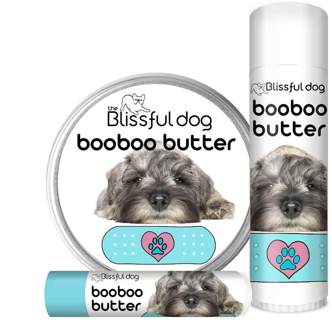 Schnauzer Boo Boo Butter