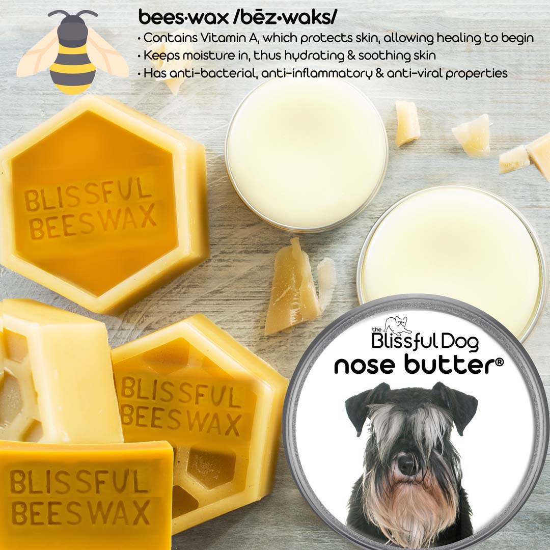 Schnauzer Nose Butter All Natural Handcrafted Balm for Dry Dog Noses