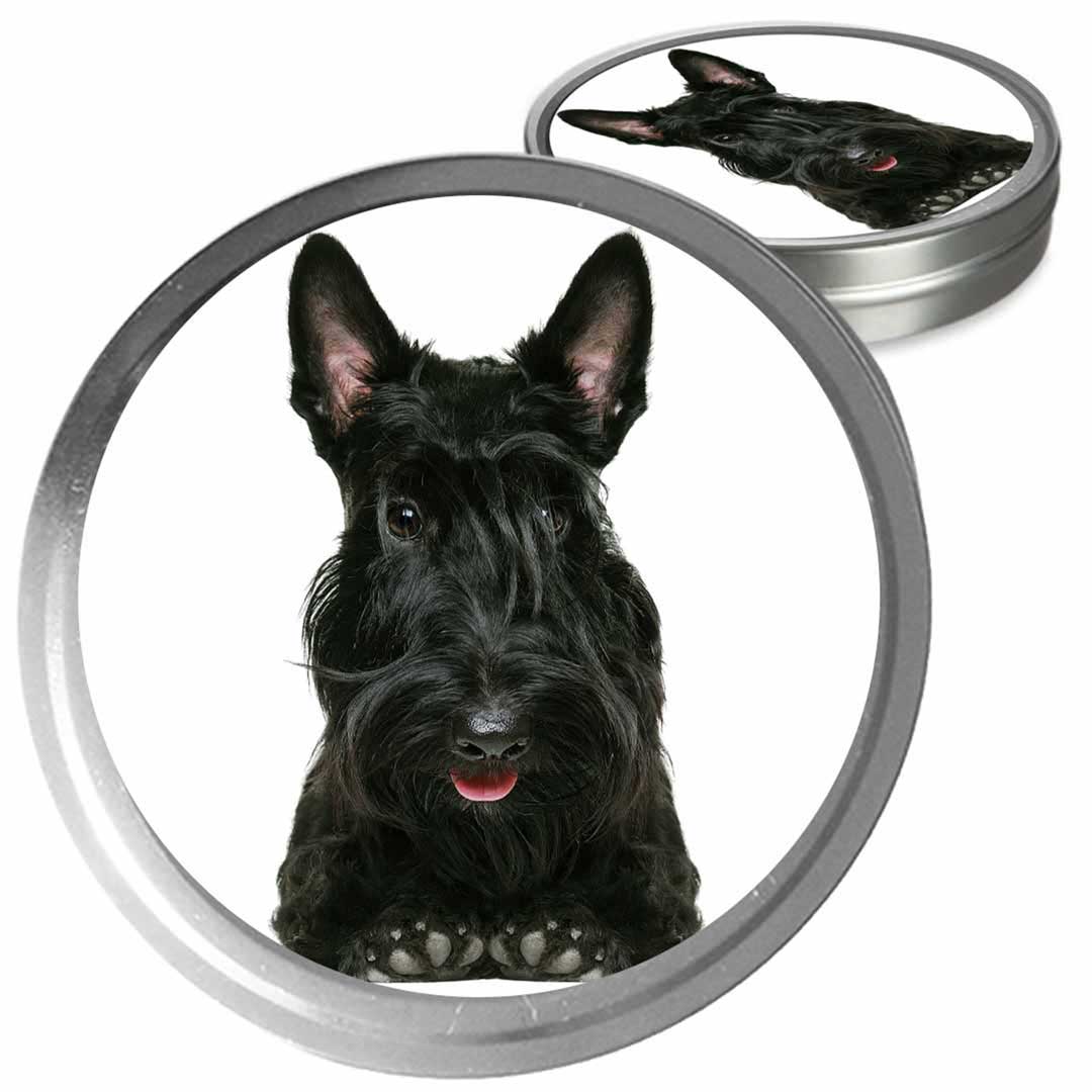 scottish terrier grooming