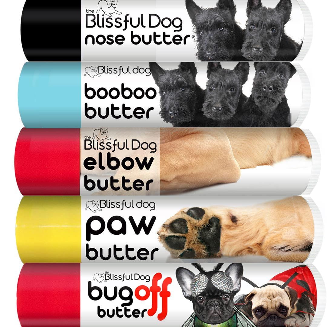 Scottish Terrier Tube Combo