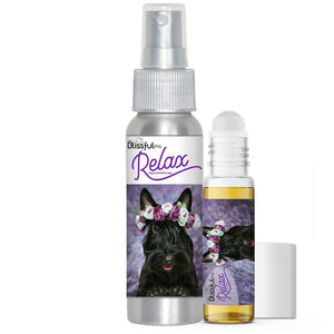 Scottish Terrier dog aromatherapy