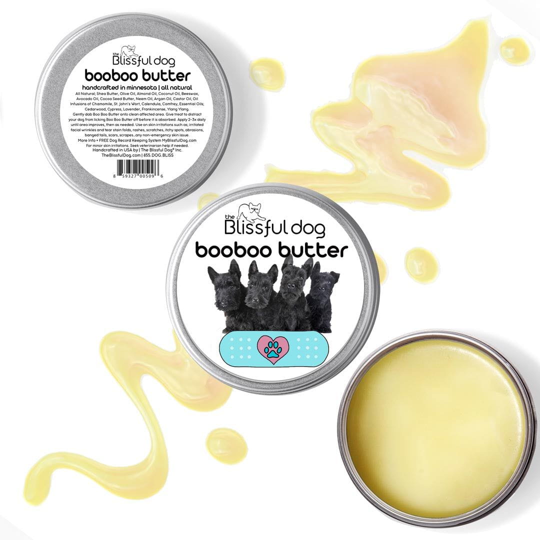 scottish terrier itchy skin