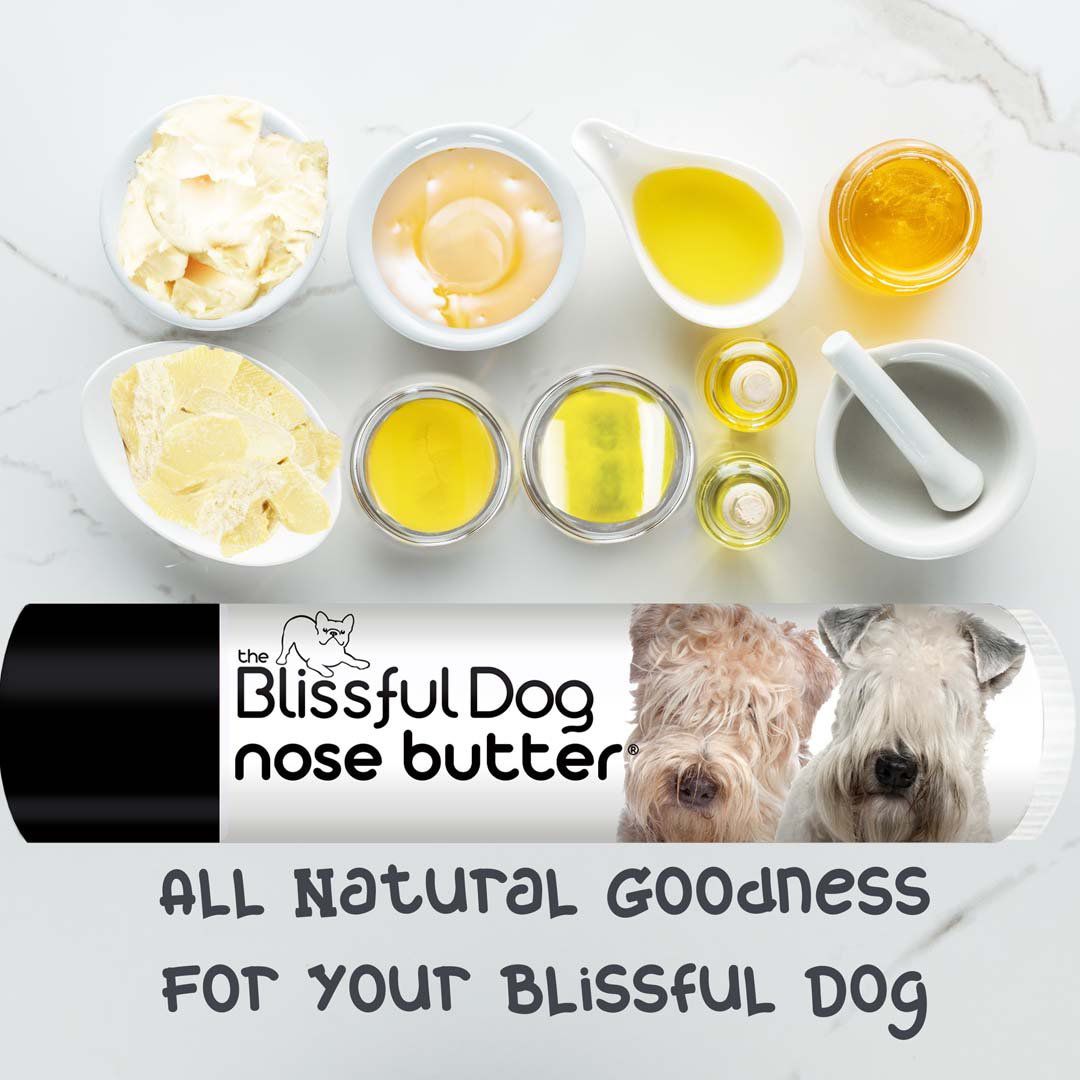 soft coated wheaten terrier balm