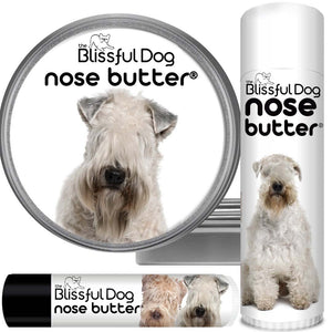 soft coated wheaten terrier nose butter