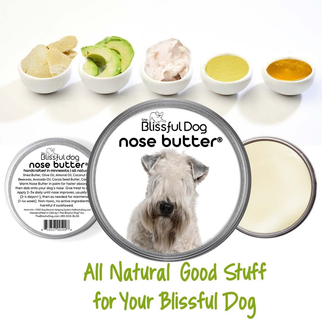 soft coated wheaten terrier has dry nose