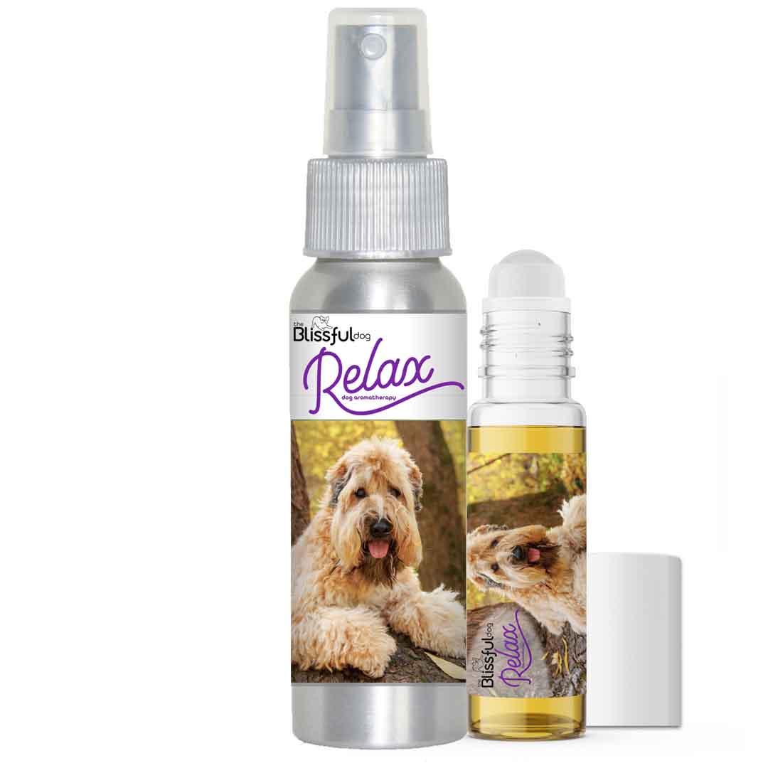 Best shampoo for wheaten clearance terriers