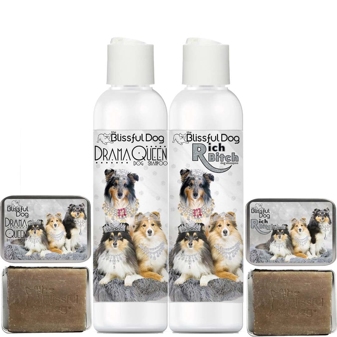 Best shampoo deals for shelties