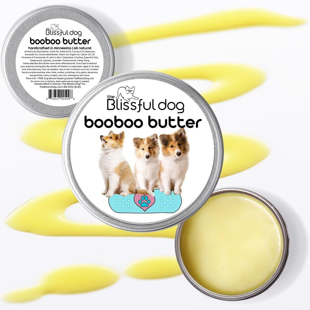 shetland sheepdog skin care