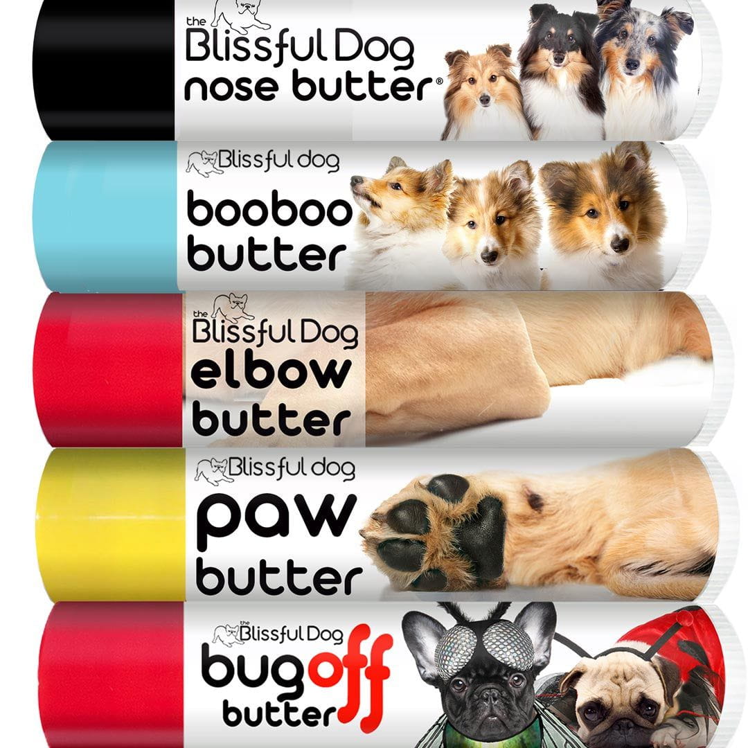 shetland sheepdog grooming