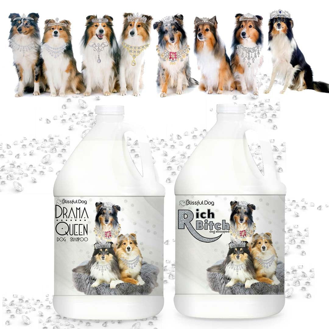Drama Queen Rich Bitch Shetland Sheepdog Luxury Shampoo