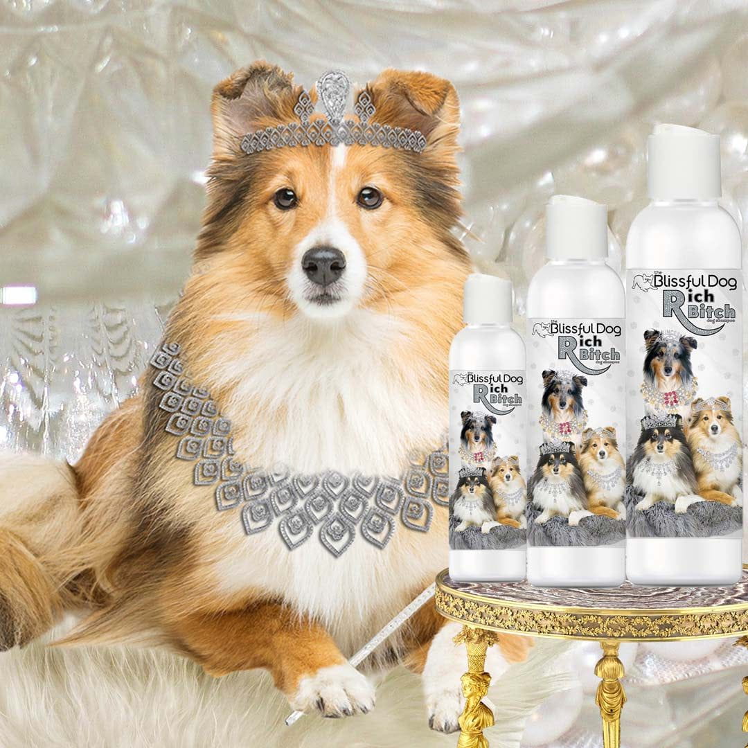 Drama Queen Rich Bitch Shetland Sheepdog Luxury Shampoo