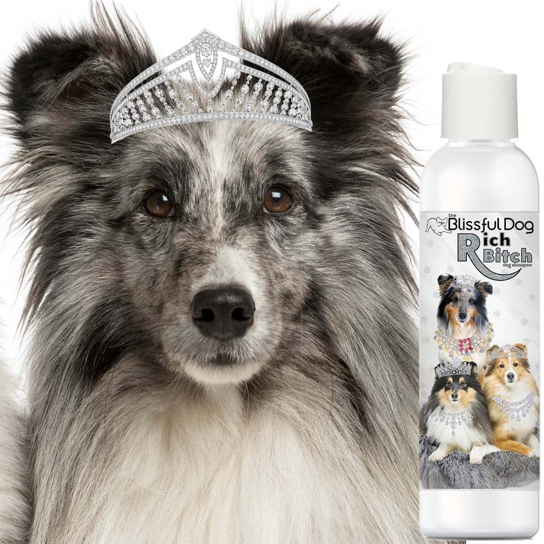 Shetland Sheepdog Rich Bitch Drama Queen Shampoo