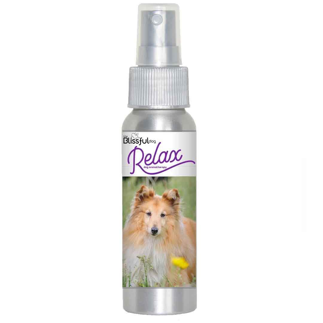 shetland sheepdog calming spray