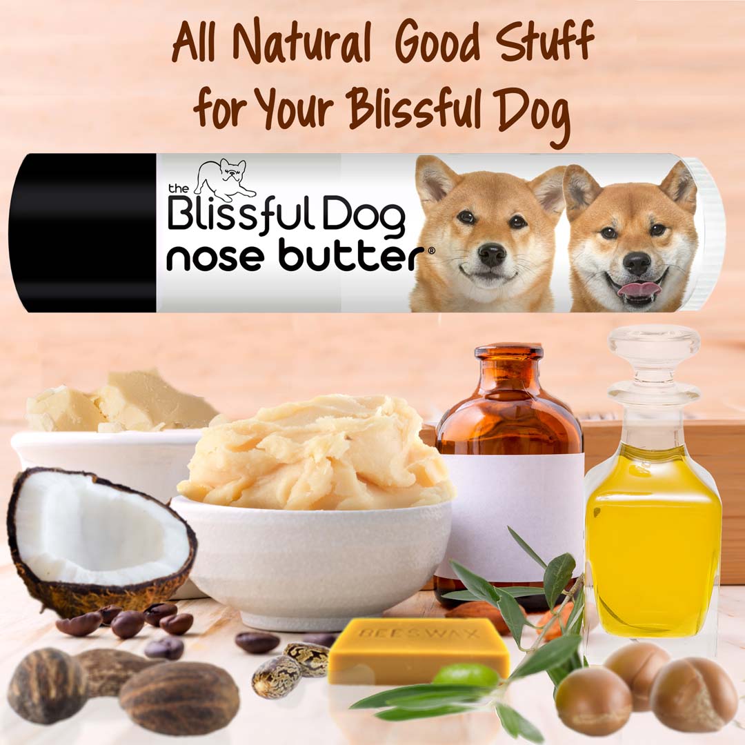 Shiba Inu Nose Butter Moisturizes Your Shiba s Rough Dry Nose