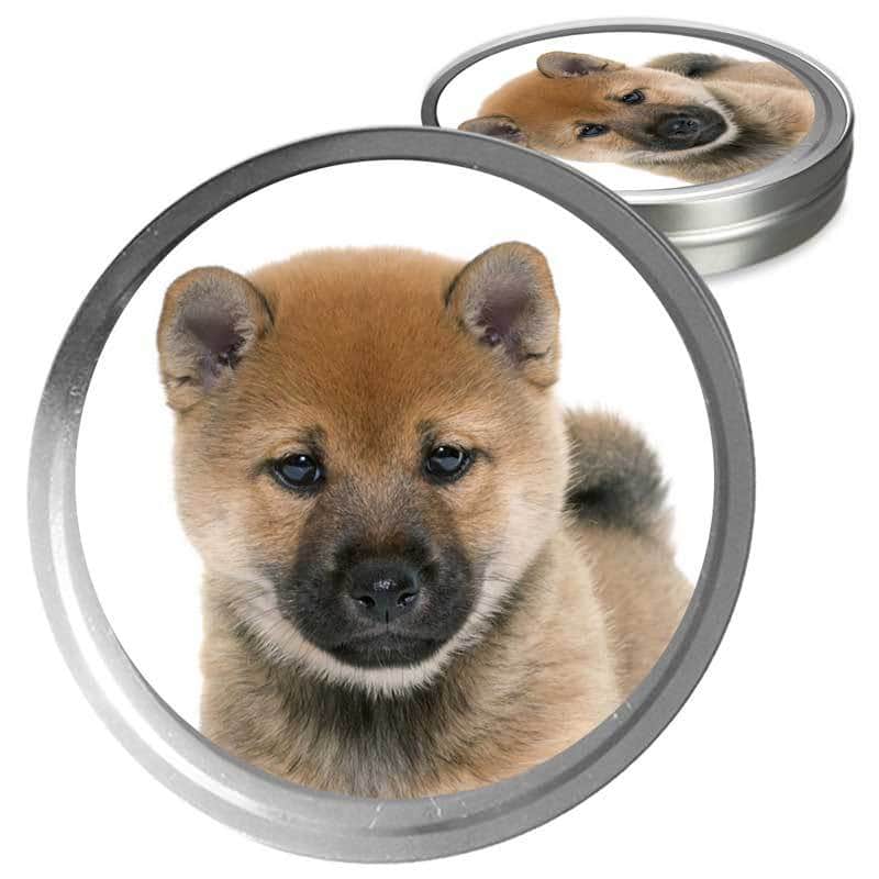 Shiba Inu Custom Combo