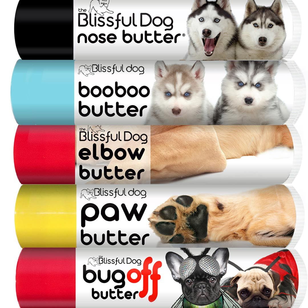 Siberian Husky Tube Combo