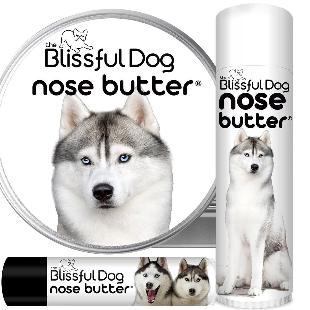 Siberian Husky Nose Butter Soothes Your Husky s Nose Issues Naturally
