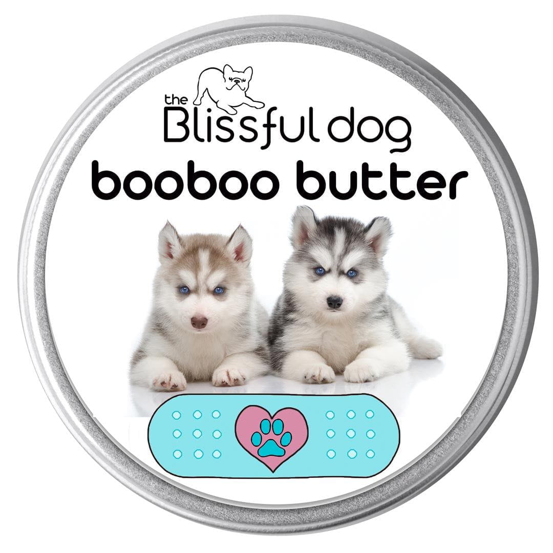 Husky boo shop