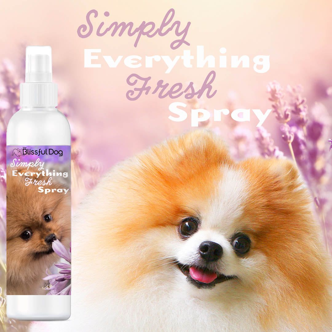 pomeranian puppy care