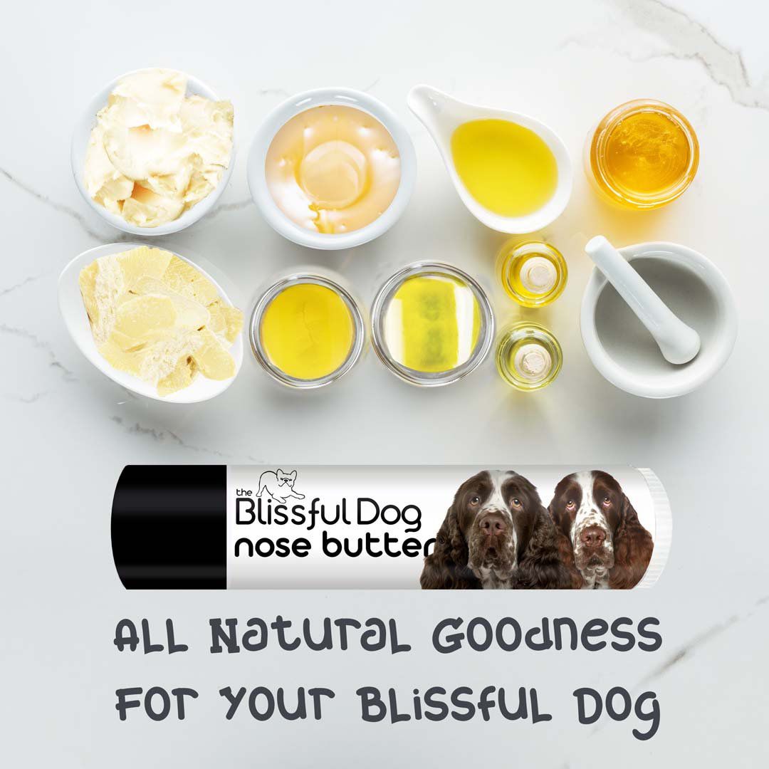 Springer Spaniel Nose Balm