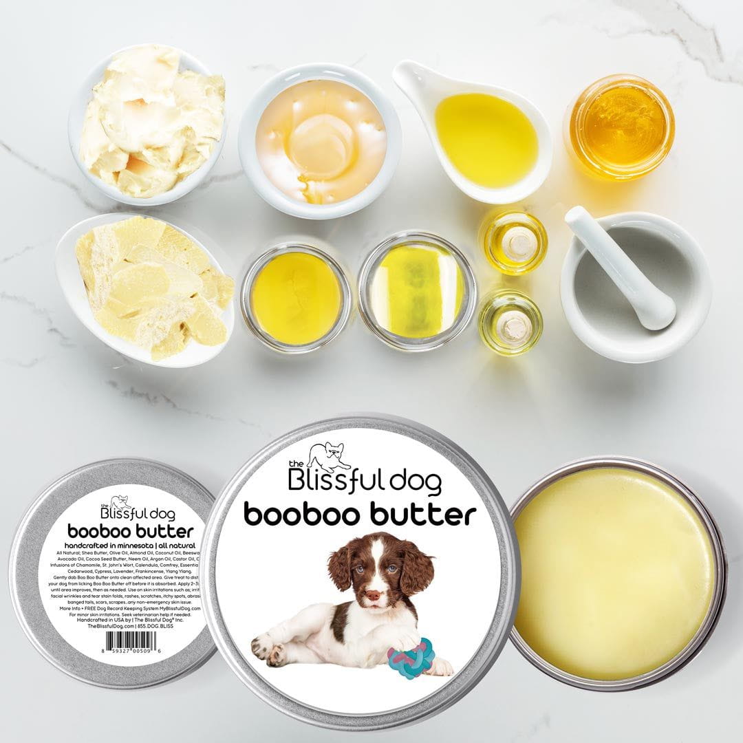 springer spaniel itchy skin