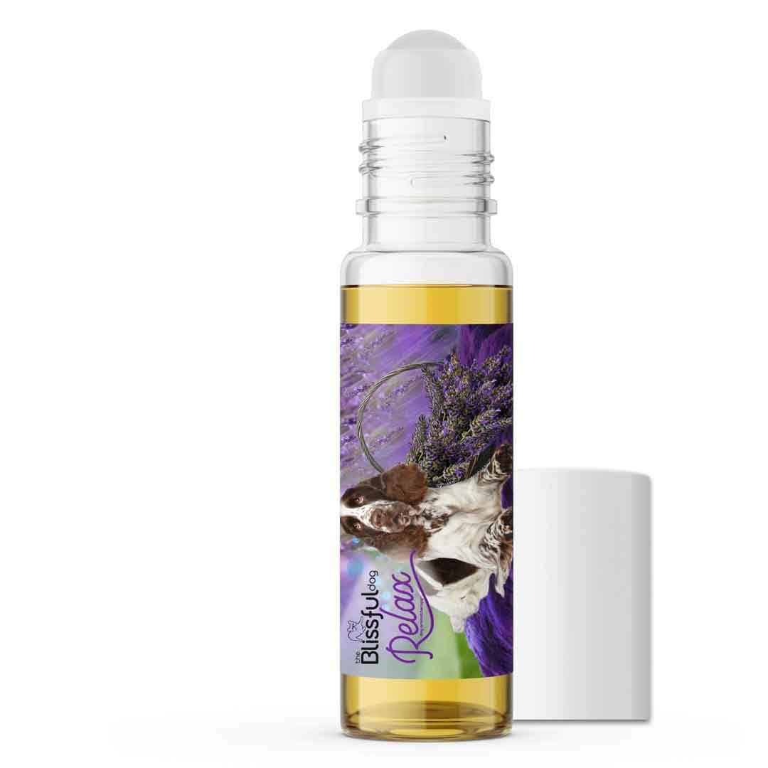 Springer Spaniel Relax Dog Aromatherapy
