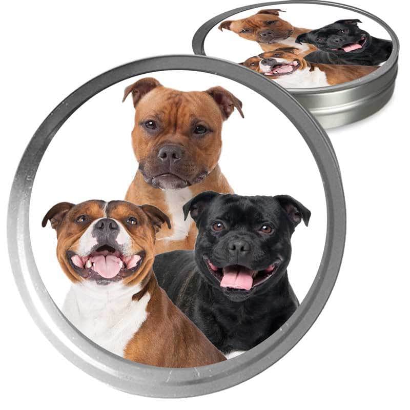 Staffordshire Bull Terrier Custom Combo
