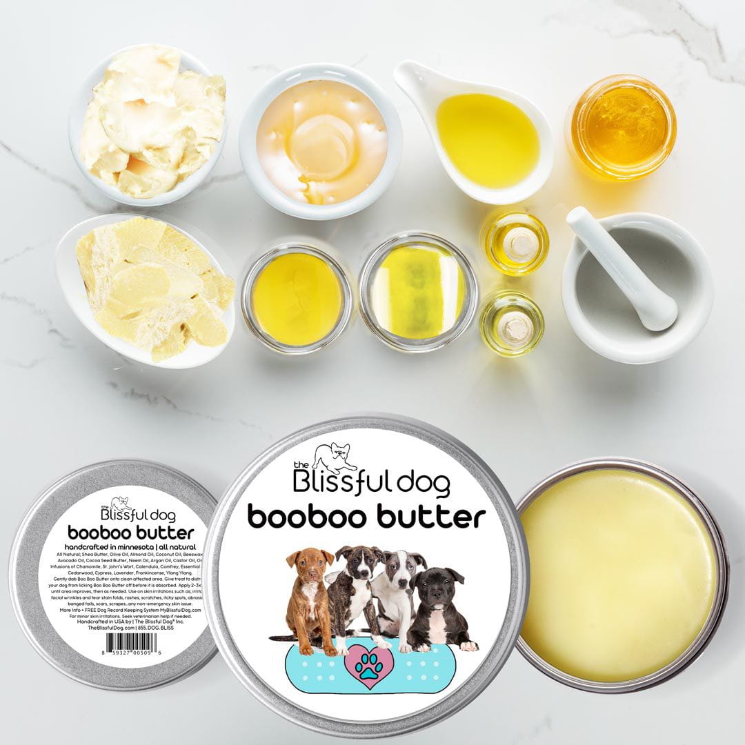 staffordshire bull terrier puppies