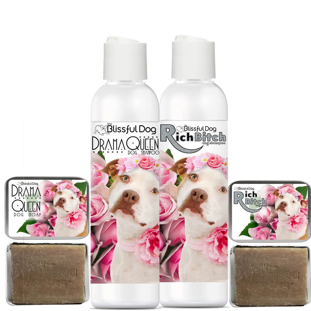 Staffordshire Pit Bull Terrier Rich Bitch Drama Queen Shampoo