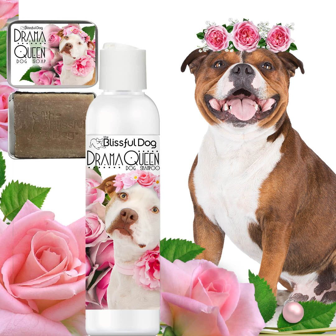 Best shampoo hot sale for bull terrier