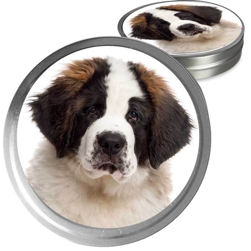 Saint Bernard Custom Combo