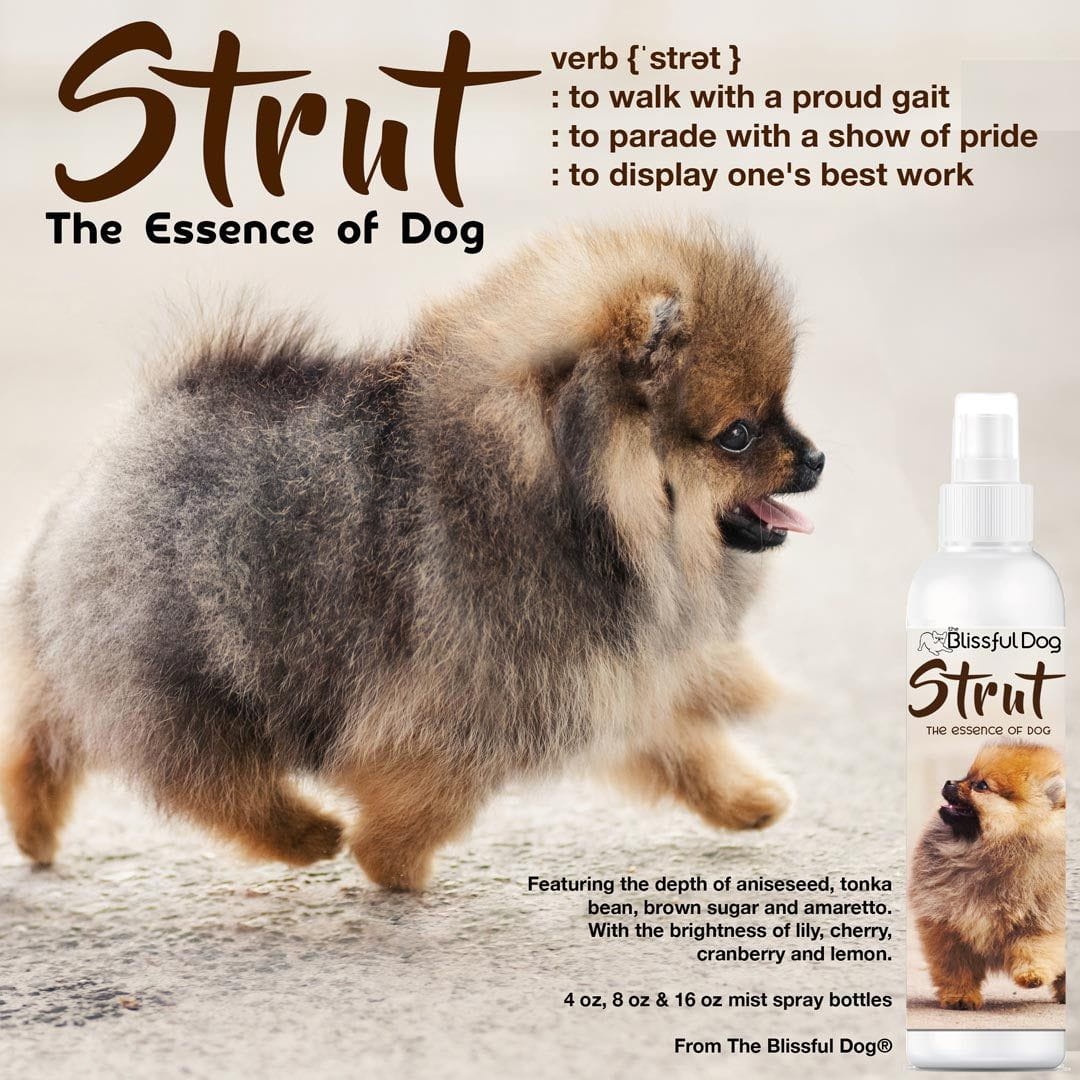 Top paw fragrance mist pup clearance rocker