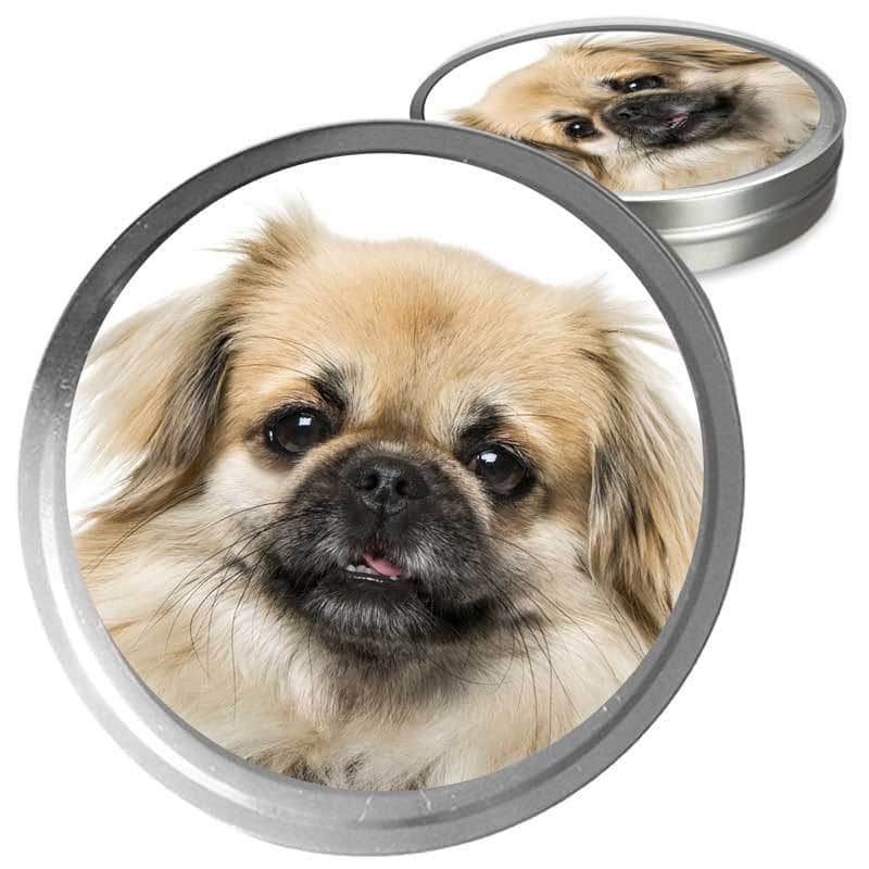 Tibetan Spaniel Custom Combo