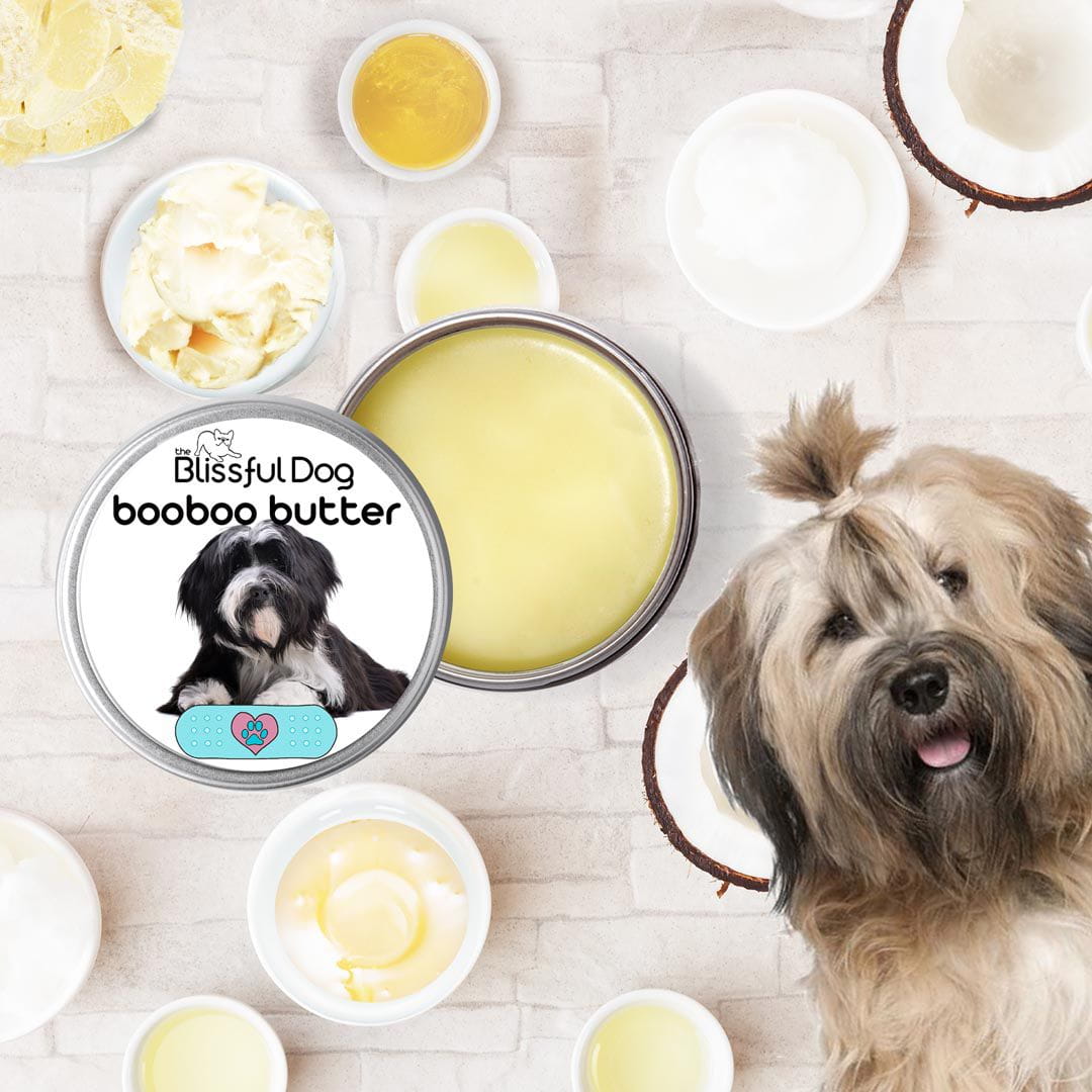 Tibetan Terrier Custom Combo